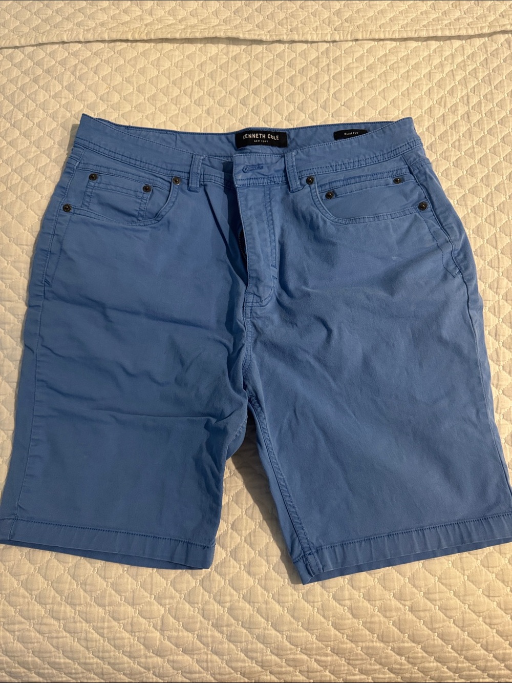 Kenneth Cole Light Blue Flat Front Chino Shorts